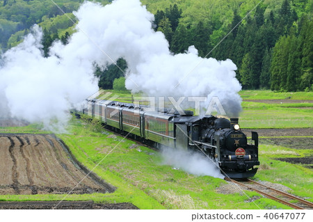 禁止海外線SL新鮮綠色 禁止海外線SL新鮮綠色 40647077