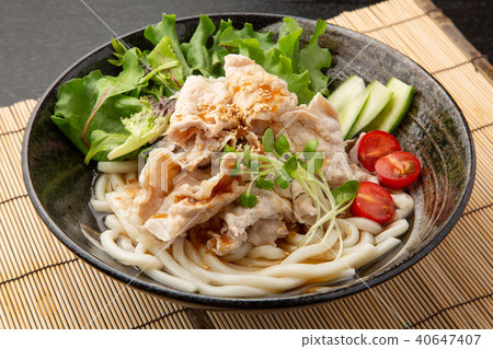 Sesame salad cold udon salad udon 40647407