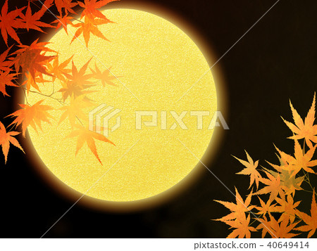 Autumn leaves 40649414