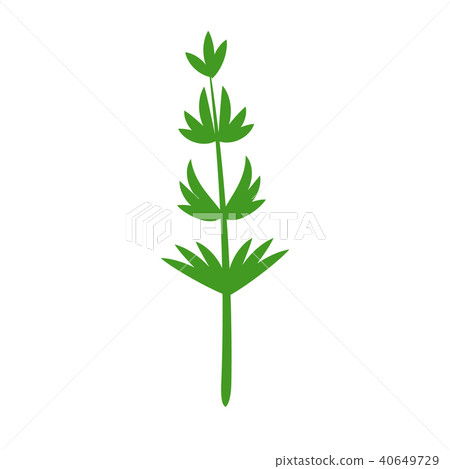 The silhouette leaves of the trees and grass. 40649729