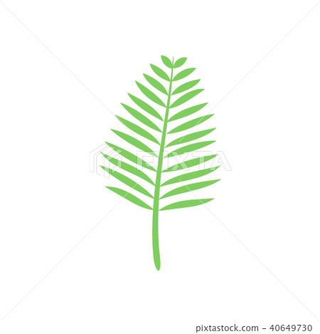 The silhouette leaves of the trees and grass. The silhouette leaves of the trees and grass. 40649730