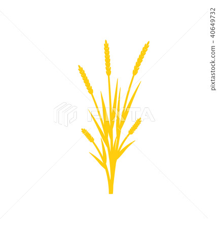 Silhouette of grass with inflorescences spike 40649732