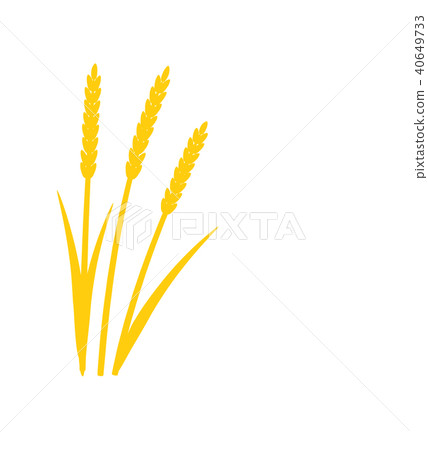 Silhouette of grass with inflorescences spike 40649733