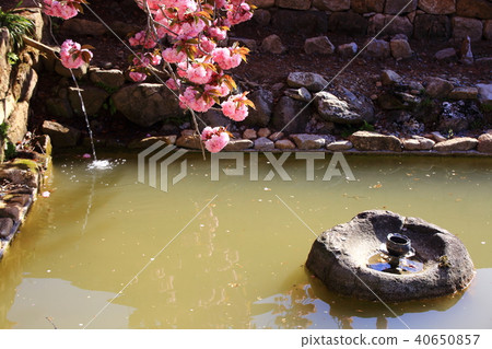 千禧年回顧,太陽神廟 千禧年回顧,太陽神廟 40650857