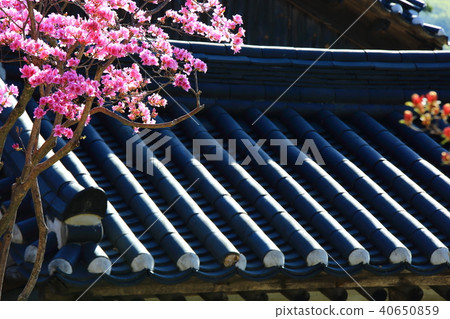 千禧年回顧,太陽神廟 千禧年回顧,太陽神廟 40650859