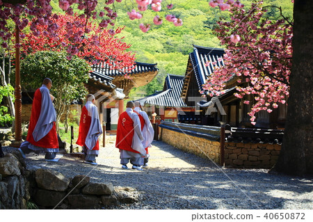 Millennium Review, Sun-am Temple 40650872