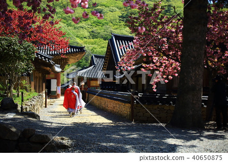 Millennium Review, Sun-am Temple 40650875