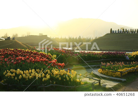 Spring of the garden, 40651268