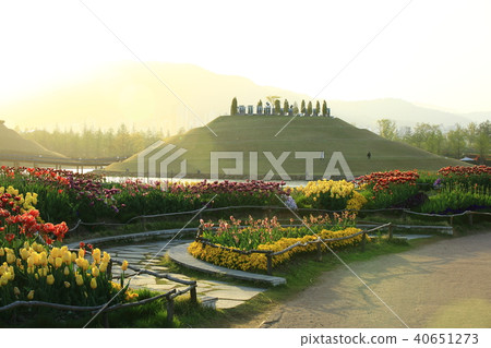 Spring of the garden, 40651273