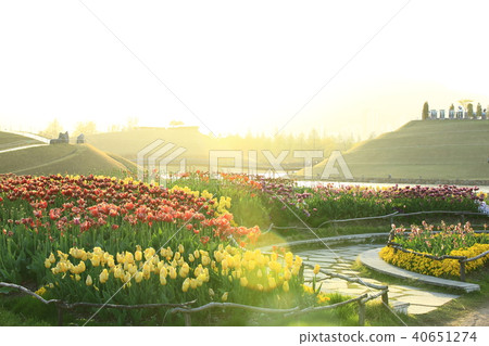 Spring of the garden, 40651274