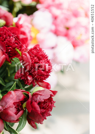 Lovely flowers in glass vase. Beautiful bouquet of red peonies . Floral composition, scene, daylight Lovely flowers in glass vase. Beautiful bouquet of red peonies . Floral composition, scene, daylight 40651552