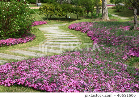 National Garden No. 1 National Garden No. 1 40651600