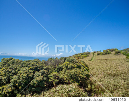 西伊勢天際線的風景 40651950