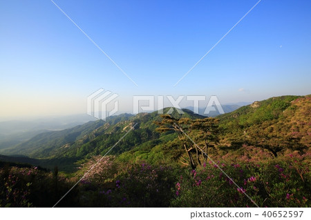 Hwangmae sunrise, 40652597