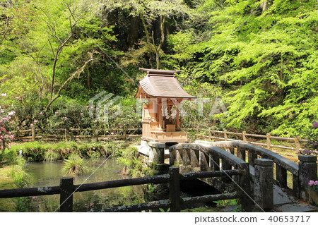 Hanazono Shrine Hanazono Valley Kitaibashiro 40653717