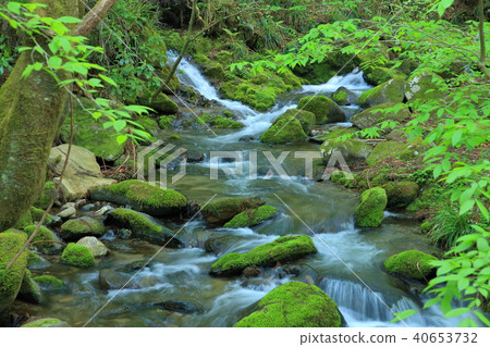 Hanazono valley waterfall mountain stream Kitaibaraki 40653732
