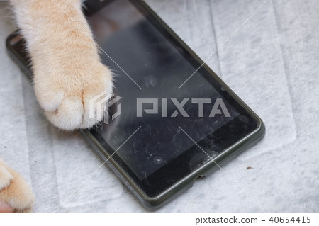foot orange cat  with mobile phone  on old chair 40654415