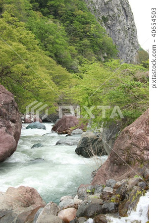 山谷（玉谷） 40654503