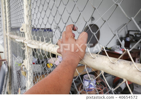 Hand with steel mesh fence in Jail Hand with steel mesh fence in Jail 40654572