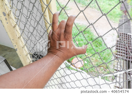 Hand with steel mesh fence in Jail Hand with steel mesh fence in Jail 40654574