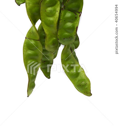 Parkia speciosa sheath on white background Parkia speciosa sheath on white background 40654994