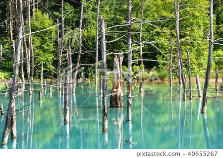 Blue Pond Biei-cho, Hokkaido Blue Pond Biei-cho, Hokkaido 40655267