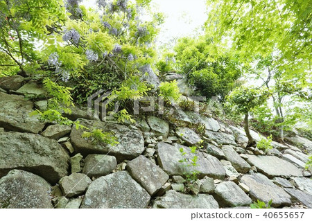 Yawatayama Castle 40655657