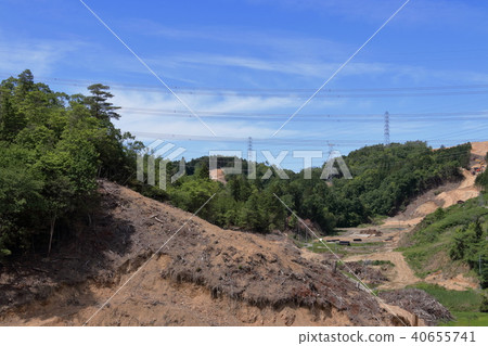 林業發展 40655741