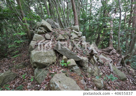 Kanonji Castle Kanonji Castle 40655837