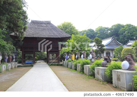 Rinka no Maori at Maolin-ji 40657490