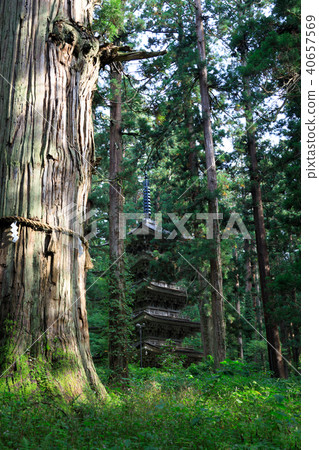 [Yamagata Prefecture] Dewa Sanzan Shrine Haguro Mountain Five-storied Pagoda 40657569