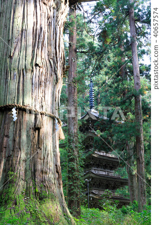 [Yamagata Prefecture] Dewa Sanzan Shrine Haguro Mountain Five-storied Pagoda 40657574