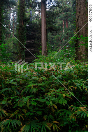 [山形縣] Dewa Sanzan Shrine Haguro Mountain五層塔 40657696