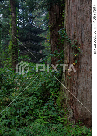 [Yamagata Prefecture] Dewa Sanzan Shrine Haguro Mountain Five-storied Pagoda 40657697