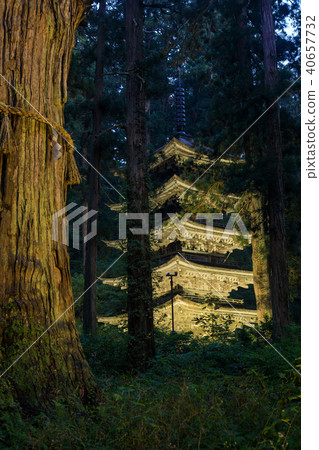 [Yamagata Prefecture] Dewa Sanzan Shrine Haguro Five-storied Tower Light up 40657732