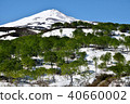 雪在山毛櫸森林和山。 40660002