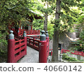 Forest and shrine 40660142