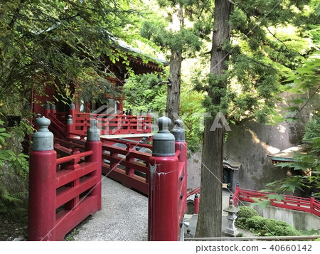 森林和神社 森林和神社 40660142