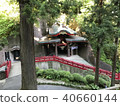 Forest and shrine 40660144