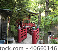 Forest and shrine 40660146
