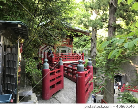Forest and shrine Forest and shrine 40660146