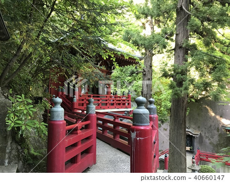 Forest and shrine Forest and shrine 40660147