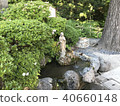 Forest and shrine 40660148
