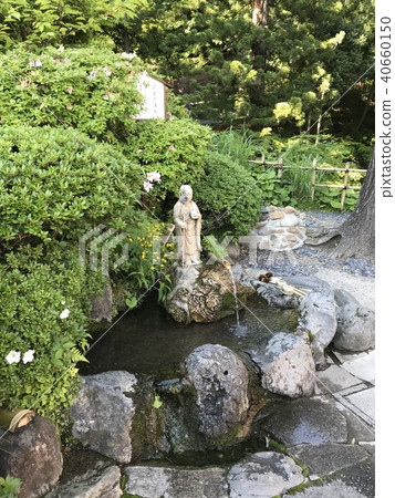 森林和神社 森林和神社 40660150