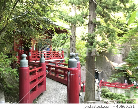 森林和神社 森林和神社 40660151