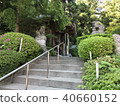 Forest and shrine 40660152