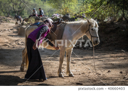 Horse in Thaksang Bhutan 40660403