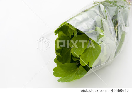 長壽草（鈕扣弓）袋 40660662