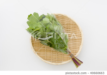 Longevity grass (button bowfow) bags 40660663