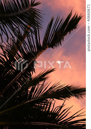 <夏威夷>粉紅色的天空 <夏威夷>粉紅色的天空 40660671